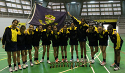 netball2012sm.jpg